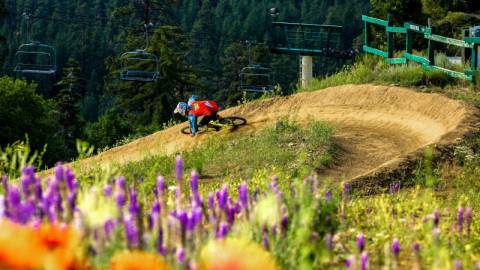 A mountain biker descends a steep turn at Summit Bike Park in Big Bear, CA. Colorful wildflowers sit in the foreground.