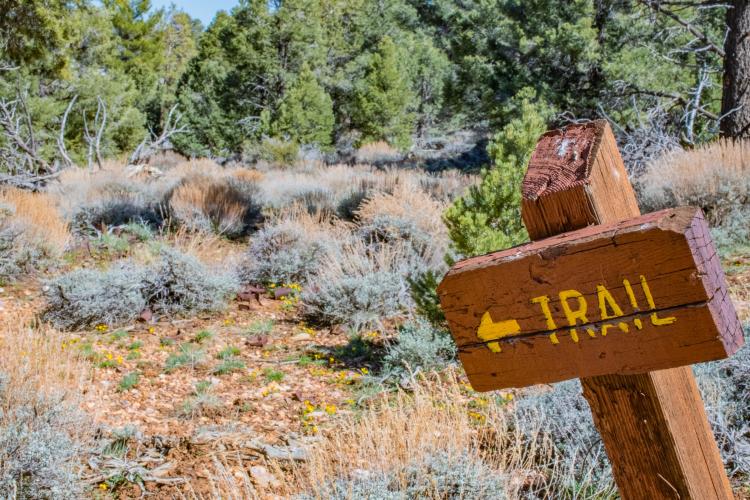A wooden marker directs to a designated trail in Big Bear Lake, part of the San Bernardino National Forest.