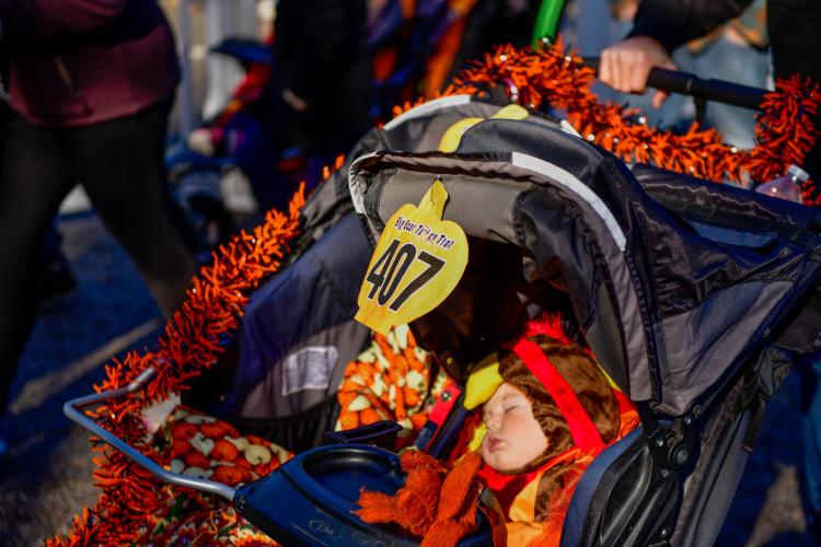 A photo of a baby in a turkey costume sleeping in a stroller with a runner number during the Thanksgiving Turkey Trot.