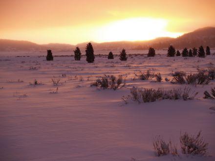 A snow covered landscape during a sunset, some plant life is poking through, the mountains visible in the distance.
